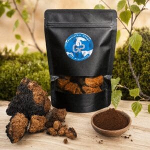 Chaga Finnische Wildsammlung