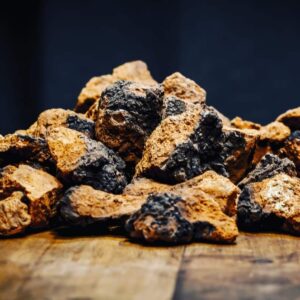 Chaga