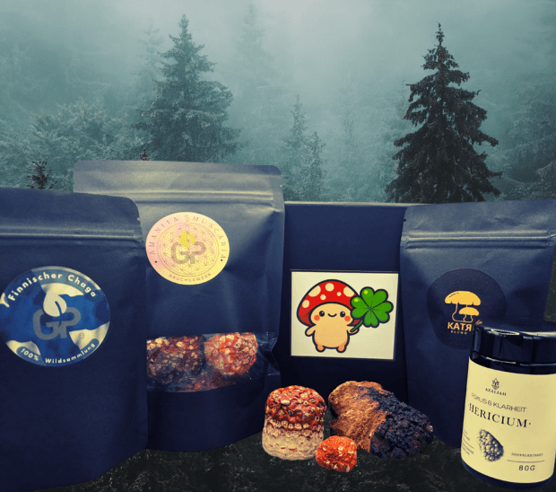 Grün Natürlich Organisch Rezept DIN A4