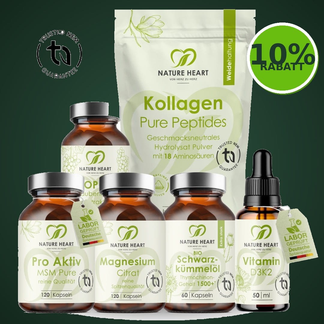 bestseller-bundle-10-rabatt-gruen