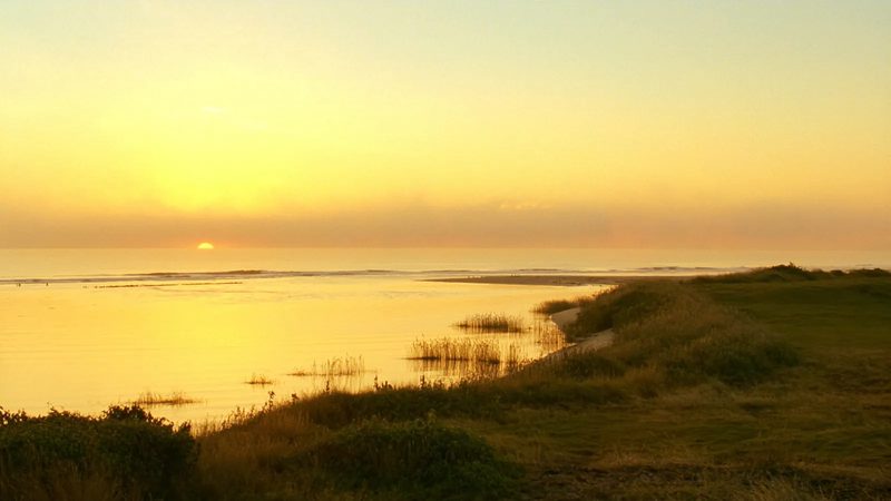 The Soul Shore, Offline-Camp an der Ostsee
