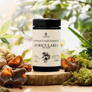 Auricularia-Extrakt (Judasohr / Mu-Err) Extrakt
