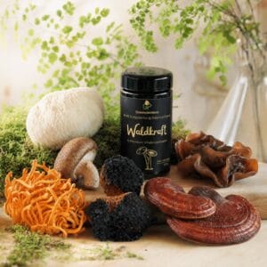 Vitalpilzblend