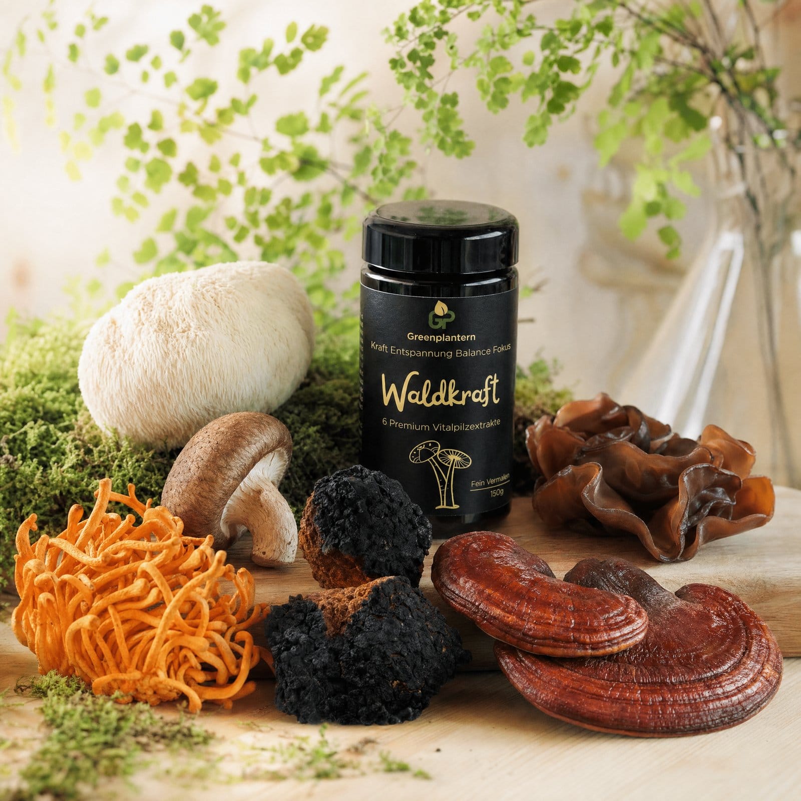 waldkraft